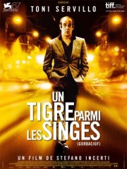 un_tigre_parmi_les_singes_300.jpg