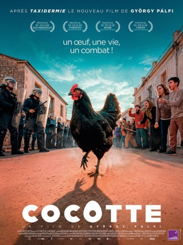 COCOTTE, György Palfi, cinéma,  Maria Diakopanayotou, Argyris Pandazaras, Yannis Kokiasmenos 