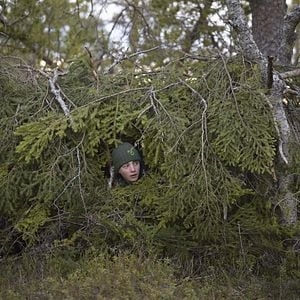 le chant des forÊts,vincent munier,cinéma,simon,michel munier
