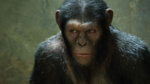 LA PLANETE DES SINGES : LES ORIGINES de Rupert Wyatt, james franco, freida pinto, andy serkis, cinéma