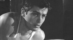 alain-delon.jpg