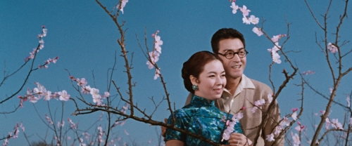 kinuyo tanaka,cinéma, LETTRE D'AMOUR, MATERNITE ETERNELLE, LA PRINCESSE ERRANTE