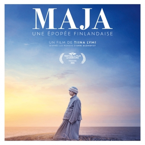 bilan annee cinema 2025