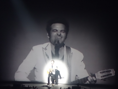 vanessa paradis,matthieu chedid,concert