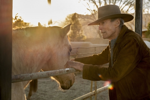 cry macho de clint eastwood,cinéma,clint eastwood,eduardo minett