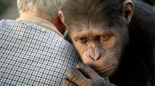 LA PLANETE DES SINGES : LES ORIGINES de Rupert Wyatt, james franco, freida pinto, andy serkis, cinéma