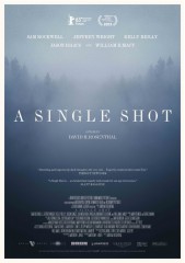 single_shot1-460x651.jpg