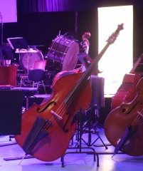 festival des notes et des toiles - concert de vladimir cosma