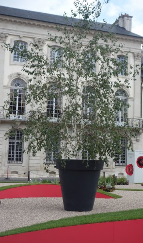 le livre sur la place,nancy 2013