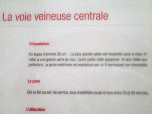 leucémie aiguë myéloblastique ou myéloïde