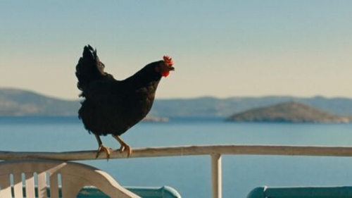 cocotte,györgy palfi,cinéma,maria diakopanayotou,argyris pandazaras,yannis kokiasmenos