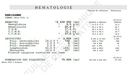 RESULTATS MOUCHE.JPG