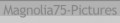 ANIMUS.jpg