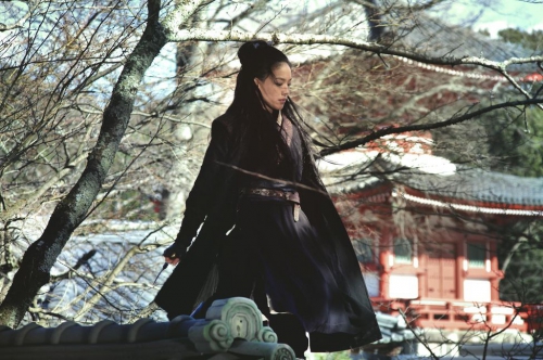 the assassin de hou hsiao sien