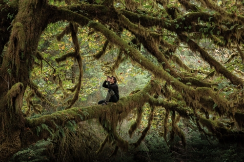 le chant des forÊts,vincent munier,cinéma,simon,michel munier
