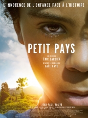 effacer l'historique de gustave kervern et benoît deléphine,cinéma,belle-fille de méliane marcaggi,enrage de derrick borte,petit pays d'eric barbier,a perfect family de malou leth reymann