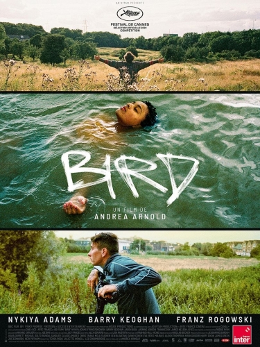 BIRD, Andrea Arnold, cinéma, Barry Keoghan, Franz Rogowski, Nikiya Adams